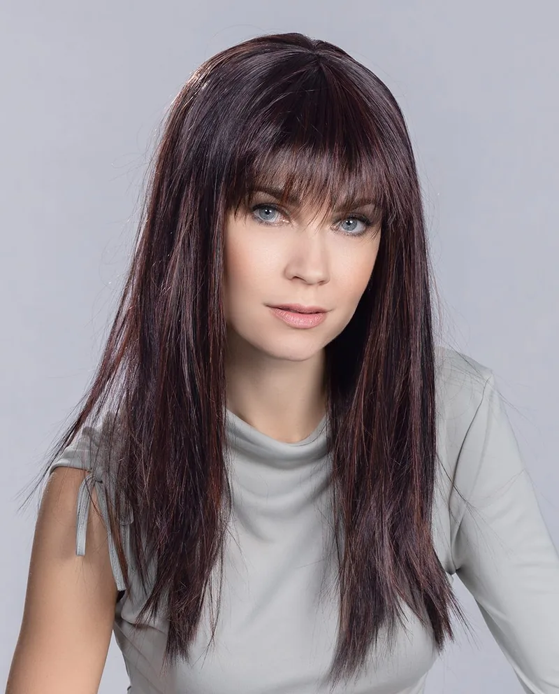 Cher, peluca de Ellen Wille Hairpower